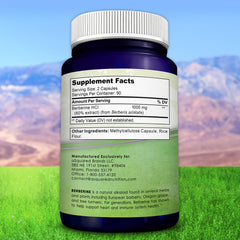 aSquared Nutrition Pure Berberine 1000mg vegan supplement suitable for plant-based diets