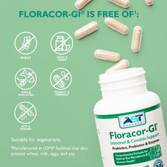 Floracor-GI ingredients-icons illustrate probiotics and enzymes synergy