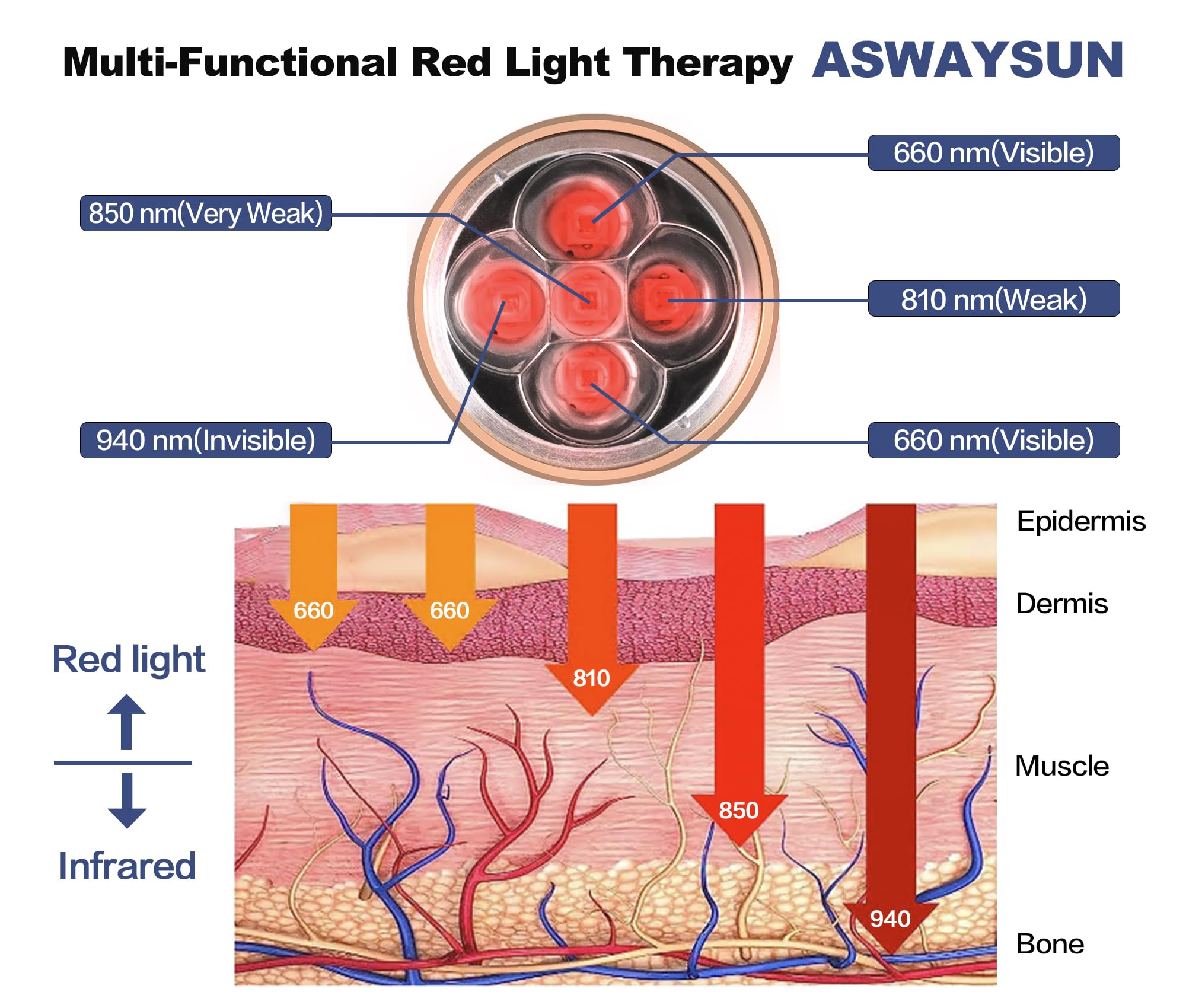 Aswaysun wavelengths cover 660 to 940nm for versatility.