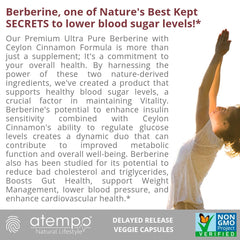 ATEMPO NATURAL LIFESTYLE Berberine Cinnamon with cinnamon sticks beside capsules