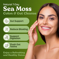 Atlantic Naturals Sea Moss 7-Colon Cleanse scoop provides convenient measured servings for regularity.