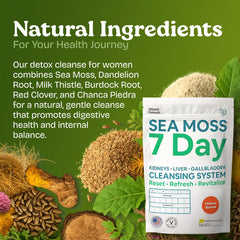 Atlantic Naturals Sea Moss Detox measuring scoop for precise daily servings.