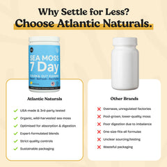 Atlantic Naturals Sea Moss Digestive Drink showing MSM in a balanced blend