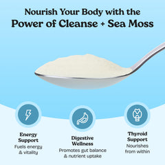 Atlantic Naturals Sea Moss Digestive Drink highlighting psyllium husk fiber-rich base