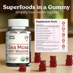 Atlantic Naturals Sea Moss Gummies close-up showing chewy texture and color.