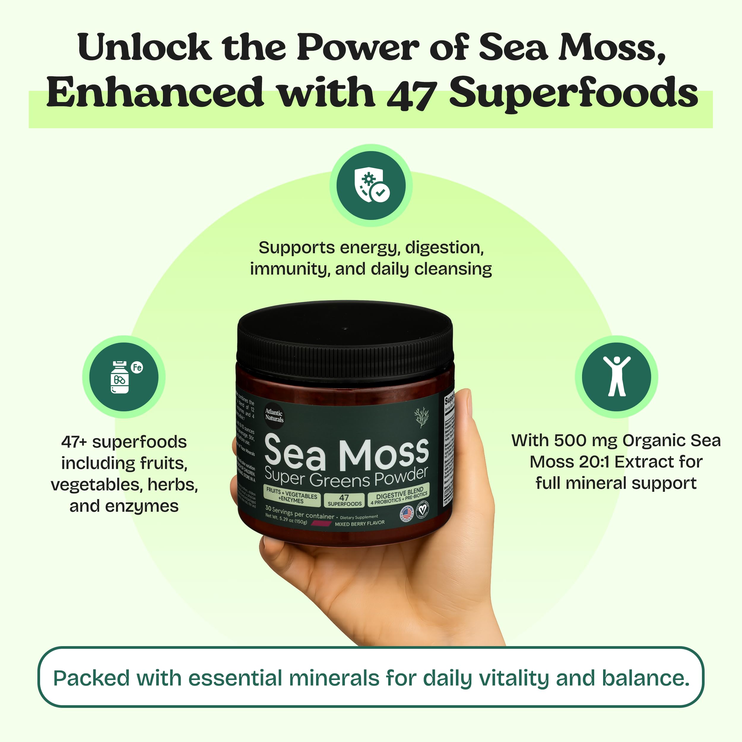 Digestive enzymes blend in Atlantic Naturals greens powder container