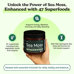 Digestive enzymes blend in Atlantic Naturals greens powder container