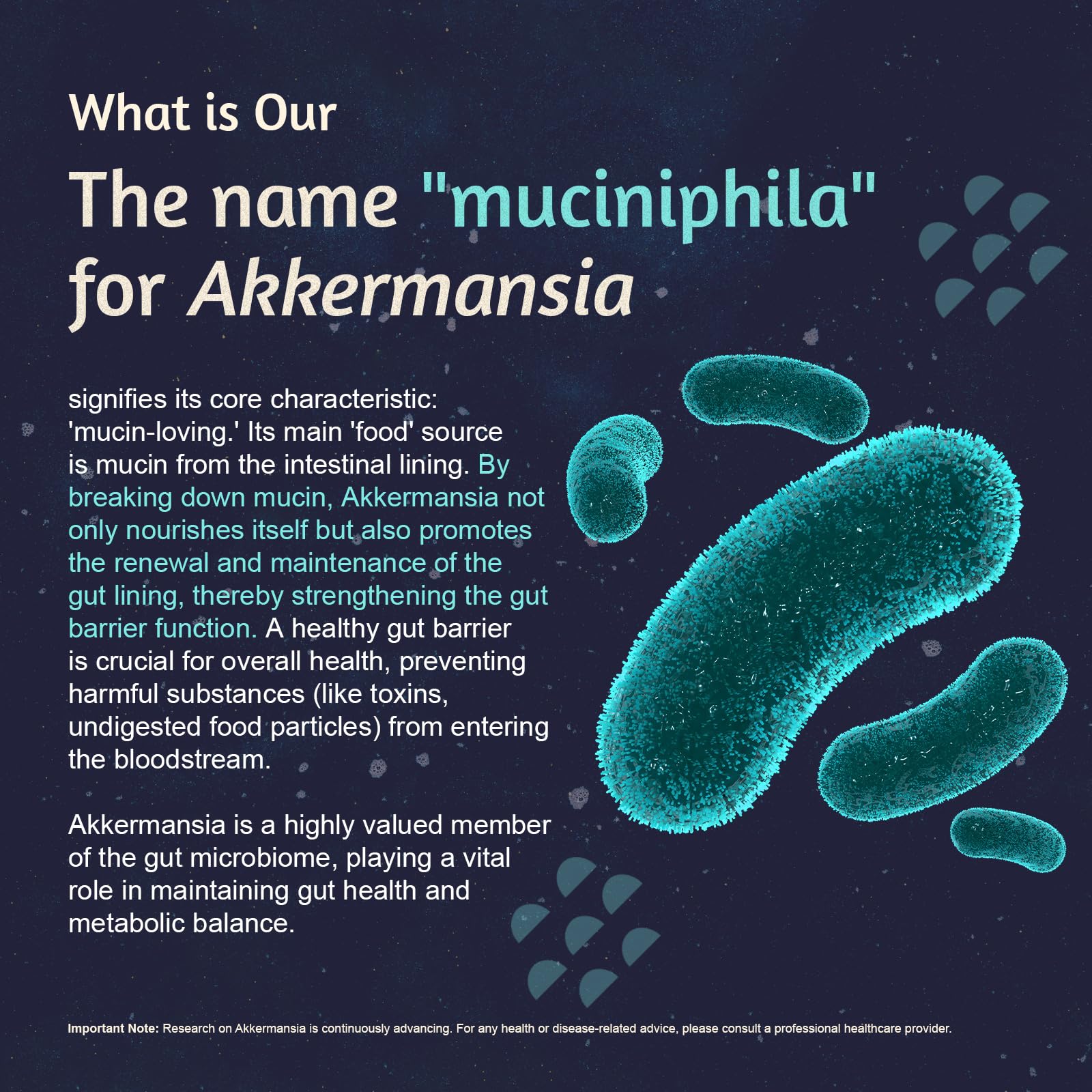 Close-up of ATLEMISME capsules for easy daily gut support.