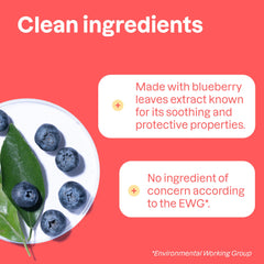 ATTITUDE mango hand sanitizer spray ingredients label, vegan and plant-based formula.