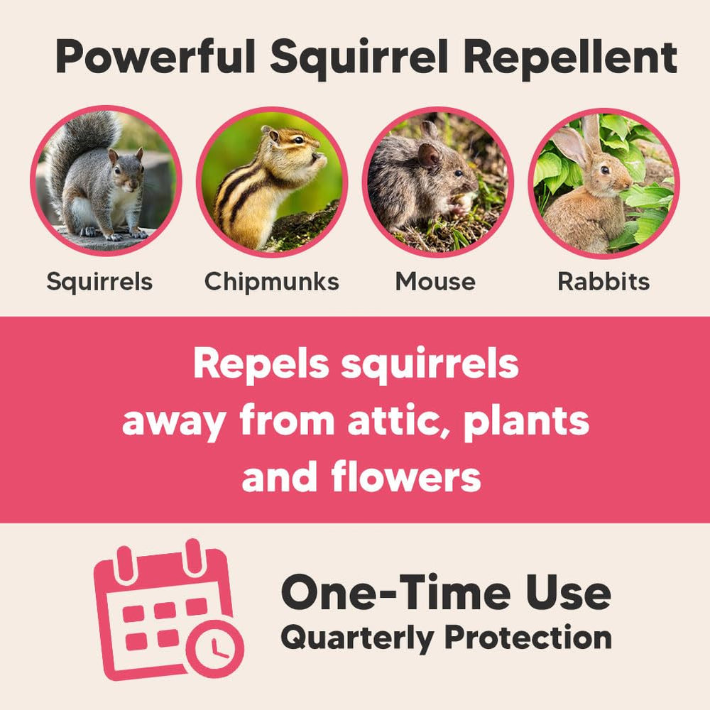AUDQQM Peppermint deterrent scent highlights natural approach to pest avoidance in outdoor spaces.