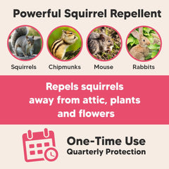 AUDQQM Peppermint deterrent scent highlights natural approach to pest avoidance in outdoor spaces.