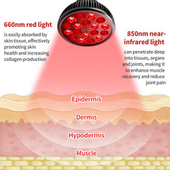 Aumtrly height-adjustable stand at 16.5 inches for precise treatment positioning.