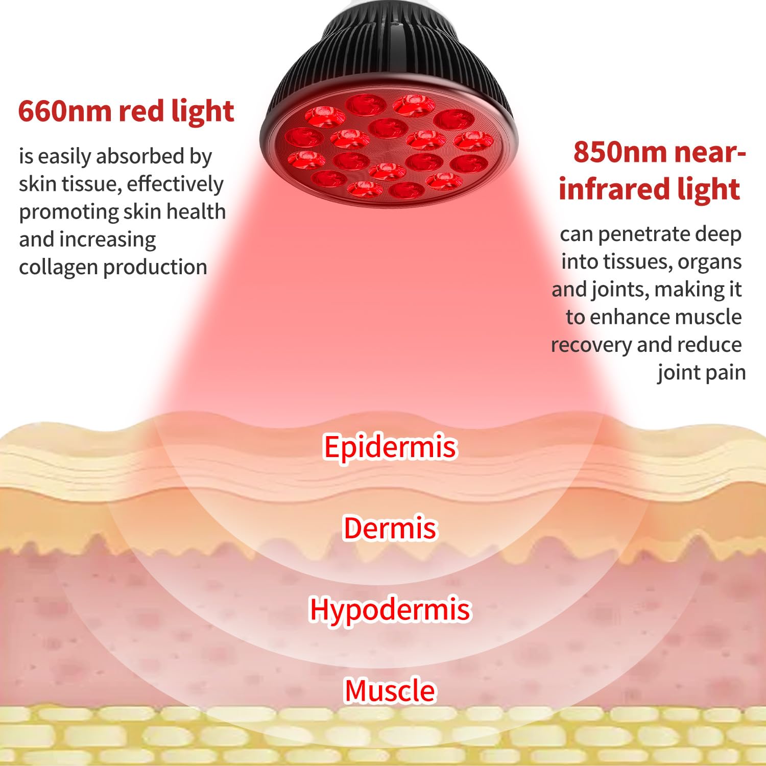Aumtrly bulb highlights 660nm red light for potential skin benefits