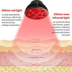 Aumtrly bulb highlights 660nm red light for potential skin benefits