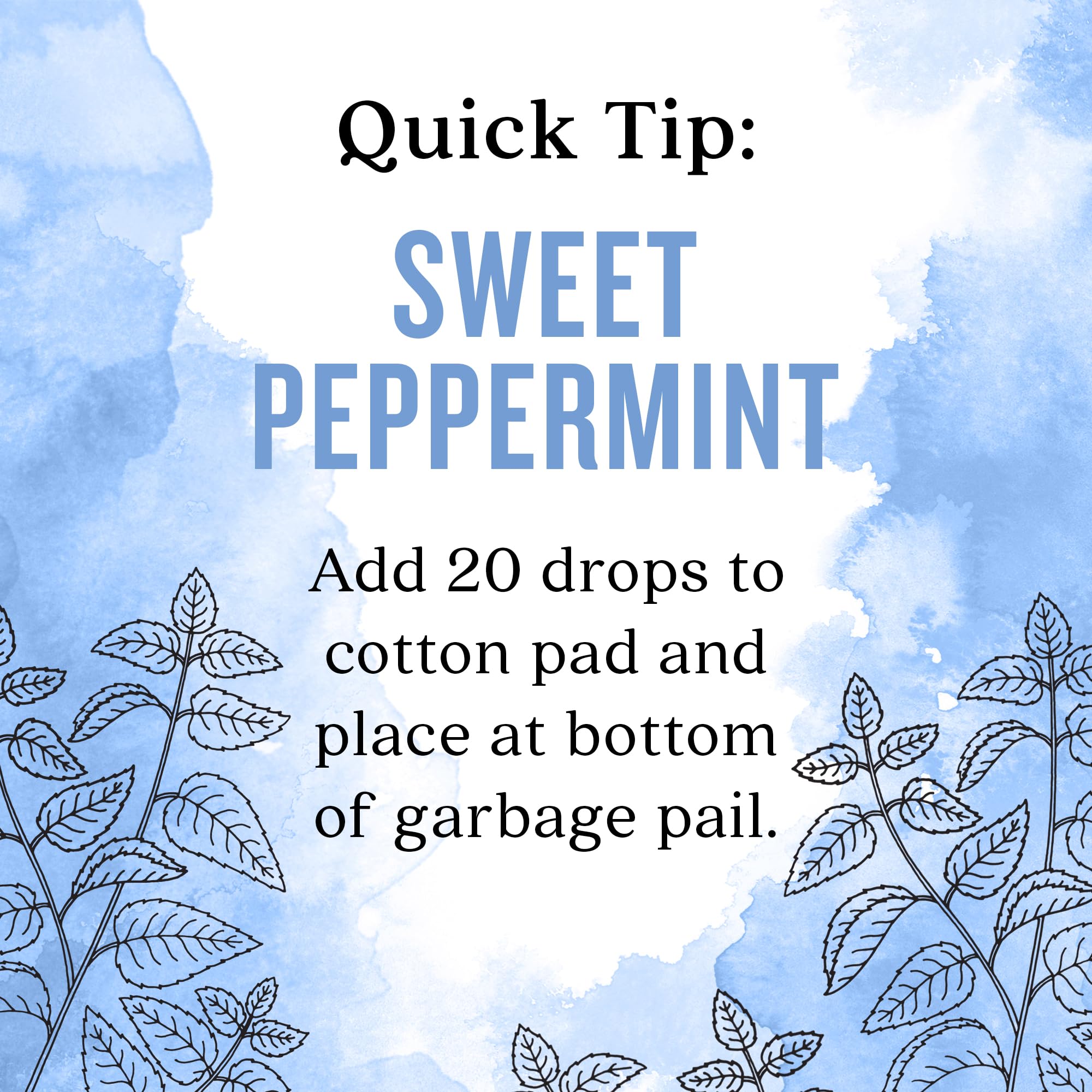 Diffuser releasing Aura Cacia Sweet Peppermint scent into the air