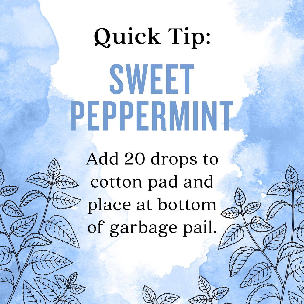 Diffuser releasing Aura Cacia Sweet Peppermint scent into the air