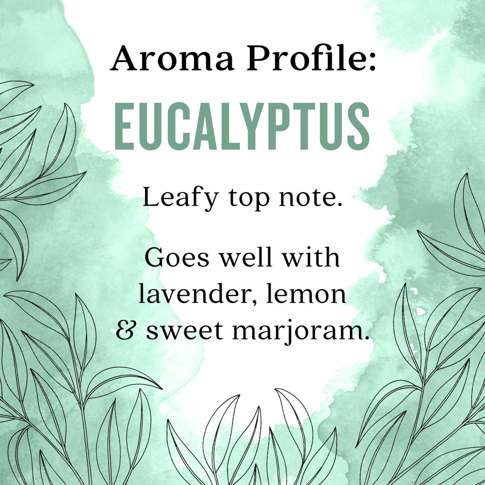 Aura Cacia Eucalyptus globulus label closeup showing natural sourcing and purity.
