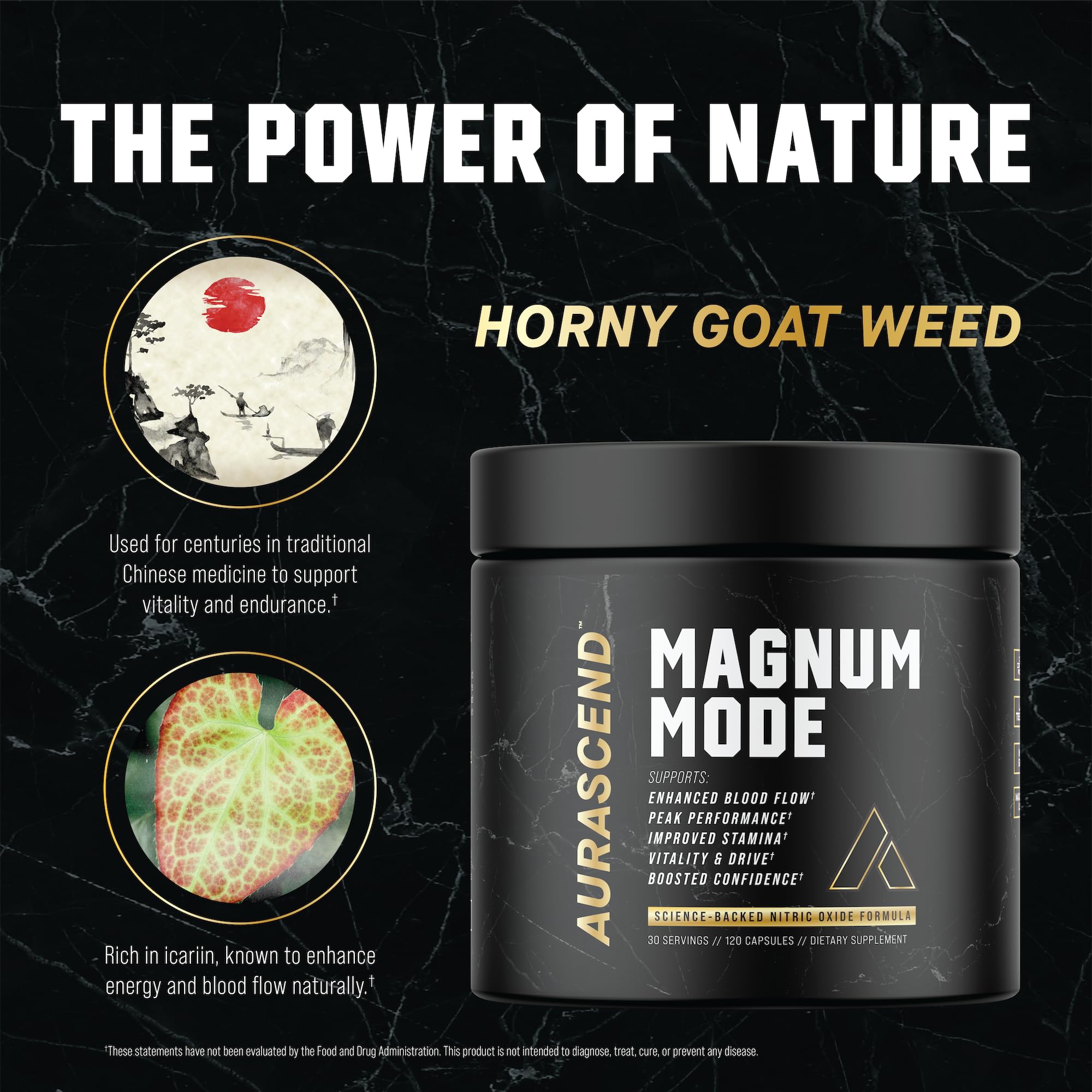 Aurascend Magnum Mode dose scoop ready for daily ritual