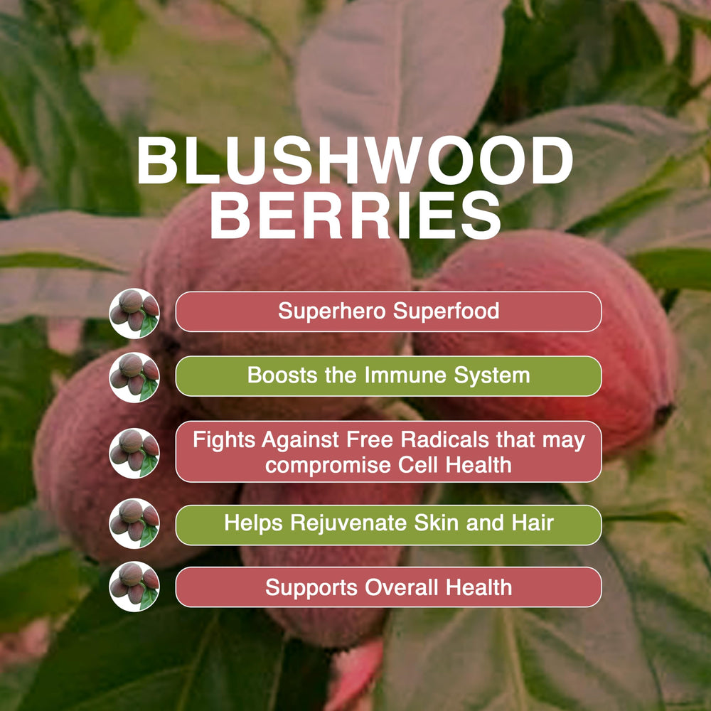 Aussie Pure Blushwood Berry lab certificates support authenticity and safety.