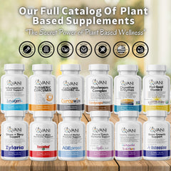 Urinary comfort balance visual paired with Avani Health Prostate Support.