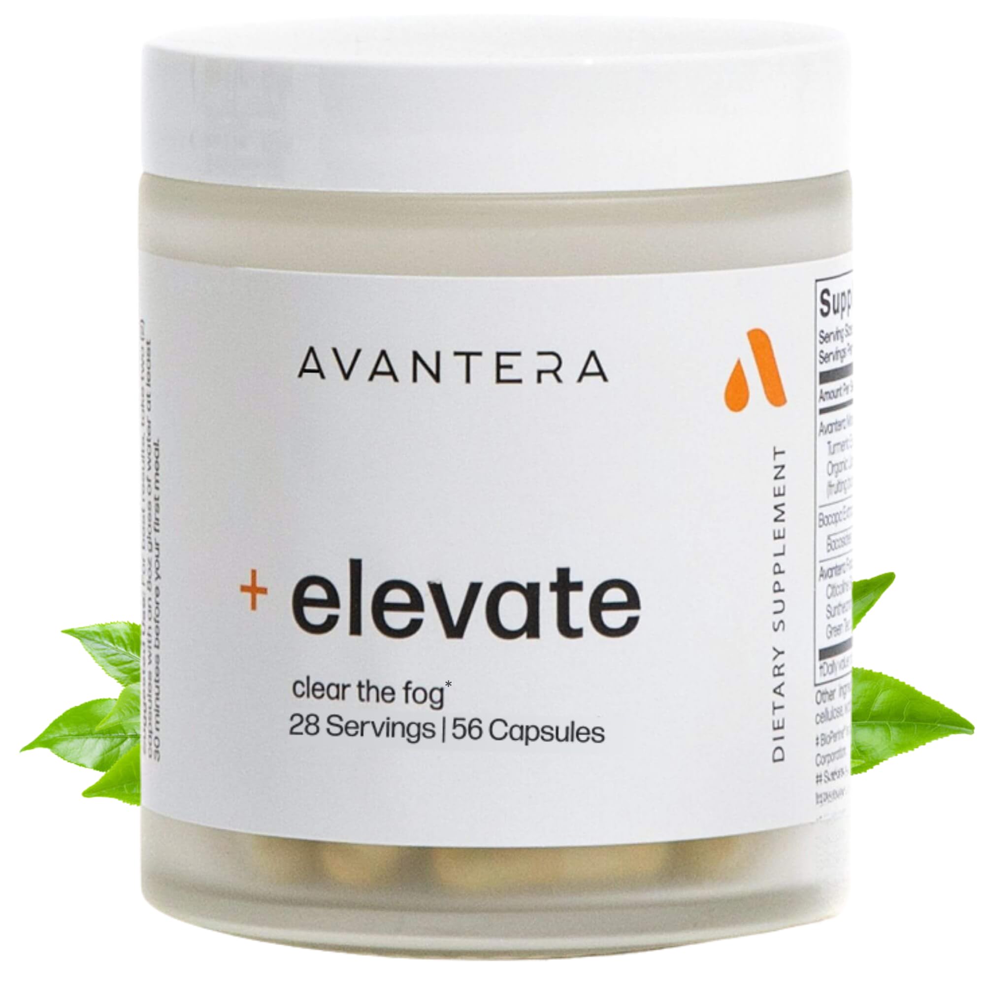 Avantera Elevate bottle front view highlighting vegan nootropic formula for focus.