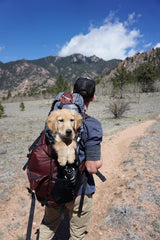 AverPak InsectGuard safety notes support safe, responsible outdoor use.