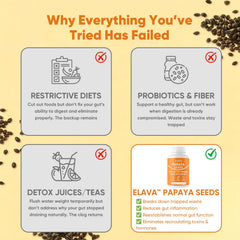 Awjsde Elava papaya seeds powder being poured from a scoop