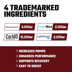 Axe & Sledge Demo Day powder tub highlights clean carbohydrate fuel with low sugar per serving.