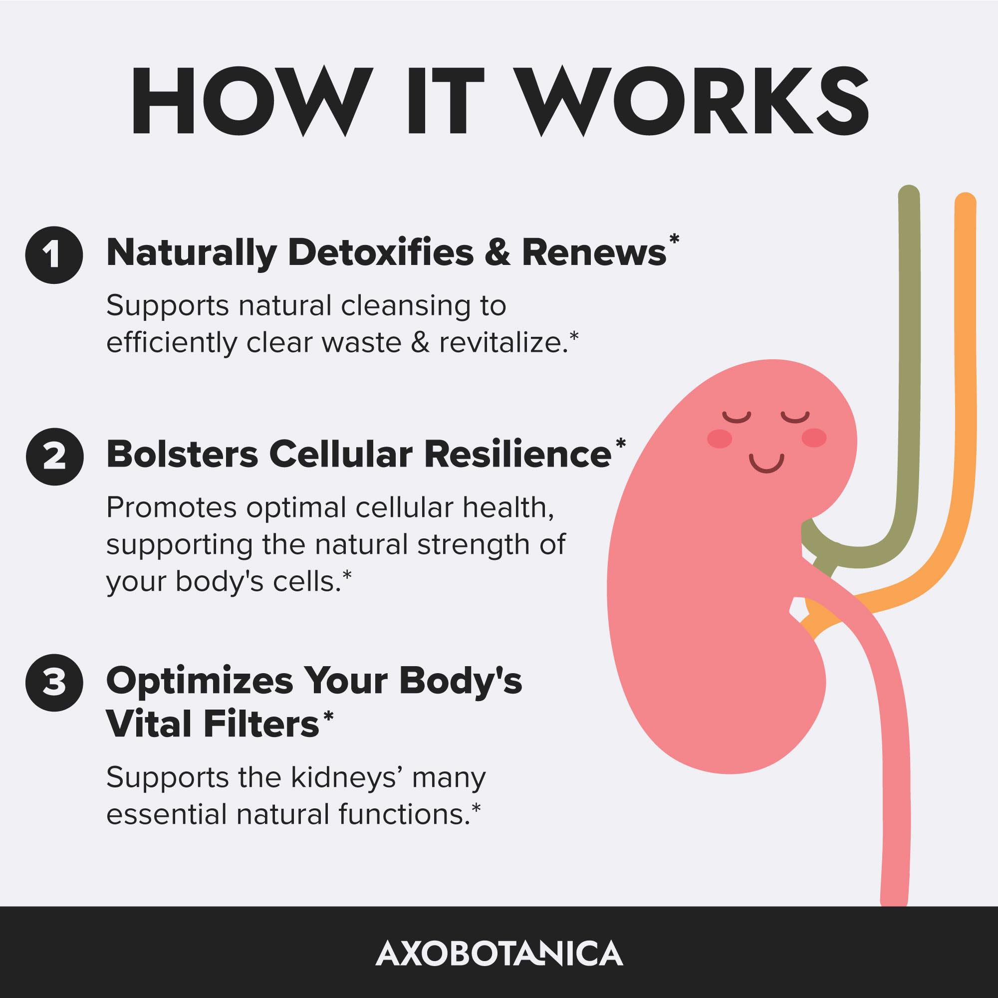 Axobotanica Kidney Cleanse non-GMO vegan capsules demonstrate clean detox support.