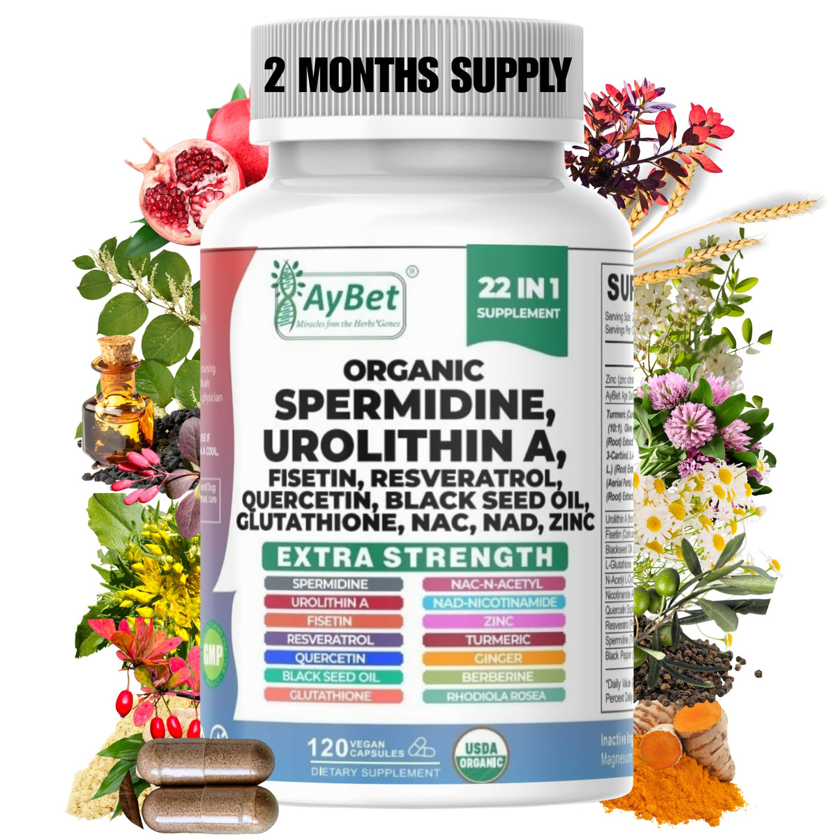 AyBet Spermidine Urolithin A bottle with longevity support and daily vitality