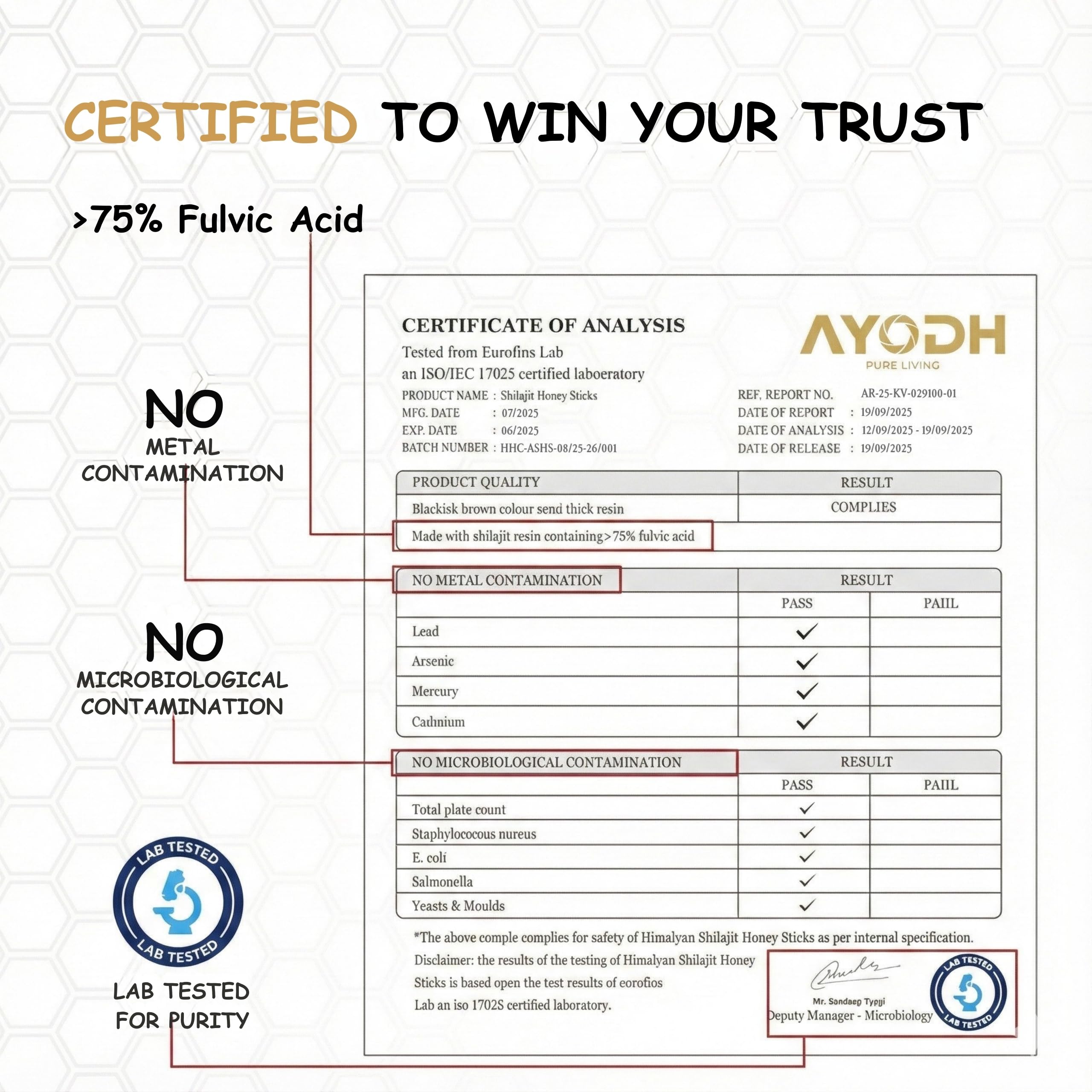 AYODH Himalayan Shilajit Honey Stick strawberry close-up—minerals-rich flavor.