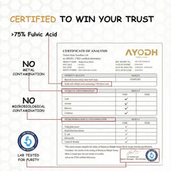 AYODH Himalayan Shilajit Honey Stick strawberry close-up—minerals-rich flavor.