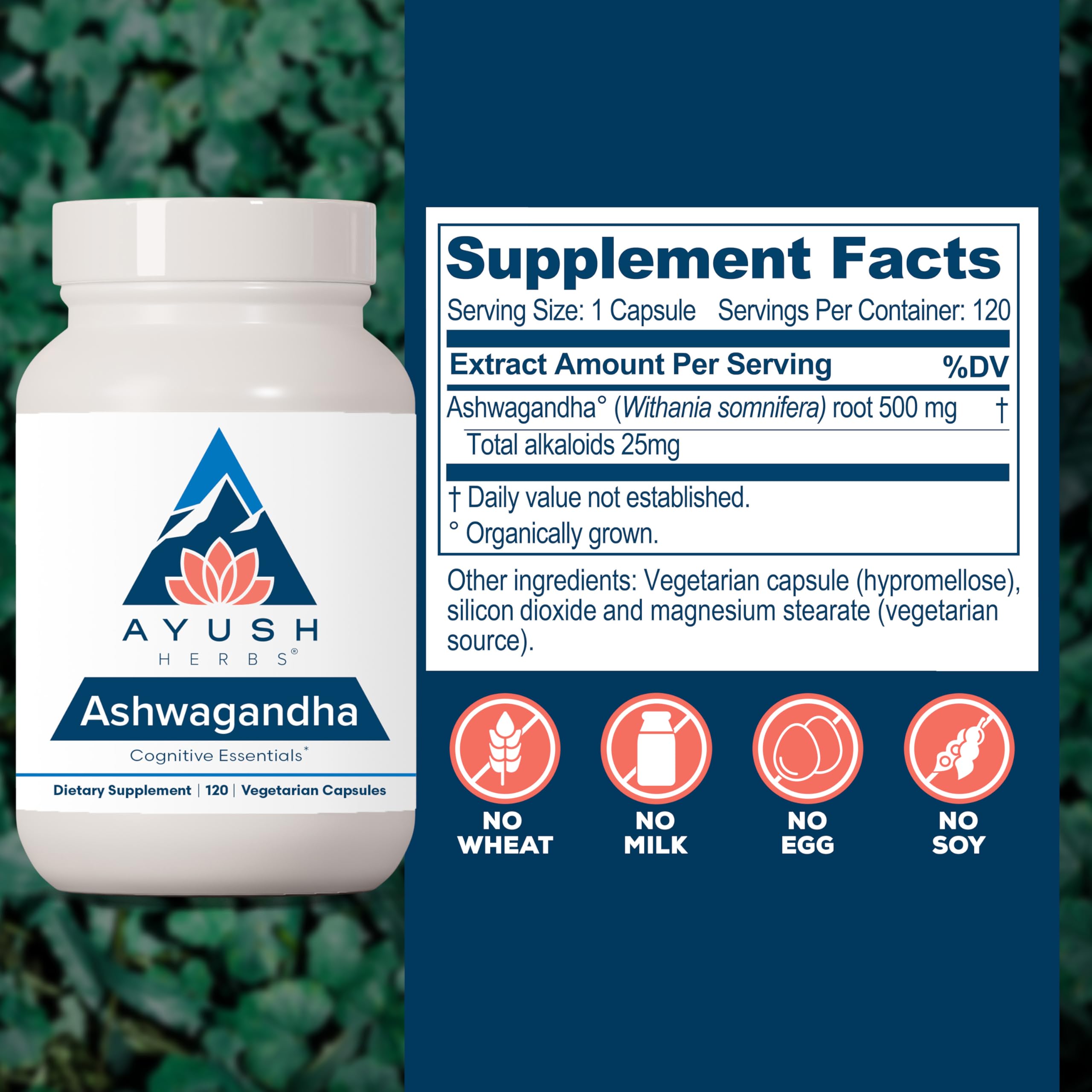 Ayush Herbs Ashwagandha capsules in hand for on-the-go daily wellness