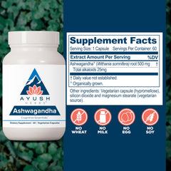 Ayush Herbs Ashwagandha capsules sleep support for restful nights