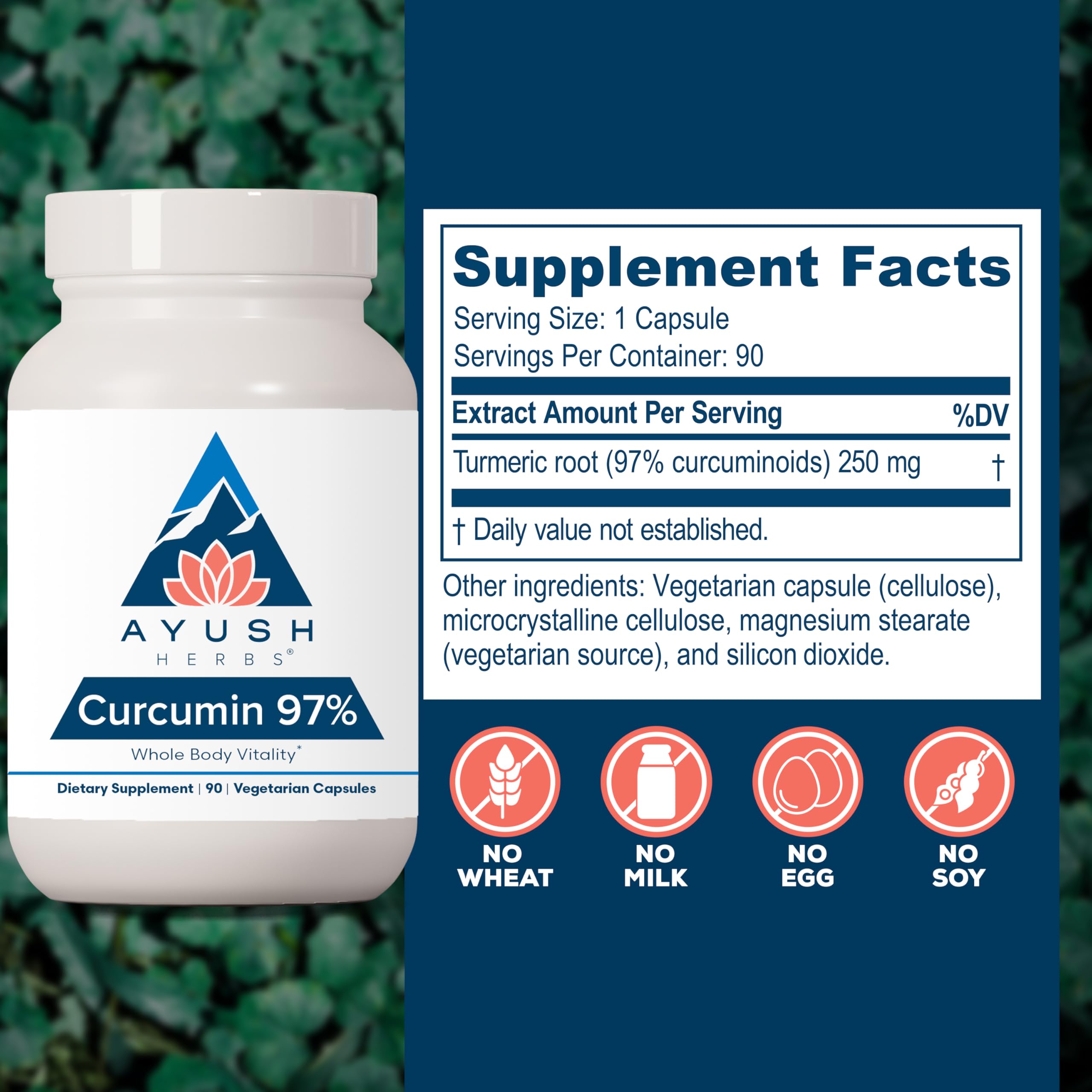 Ayush Herbs Curcumin 97% bottle label with QR potency results