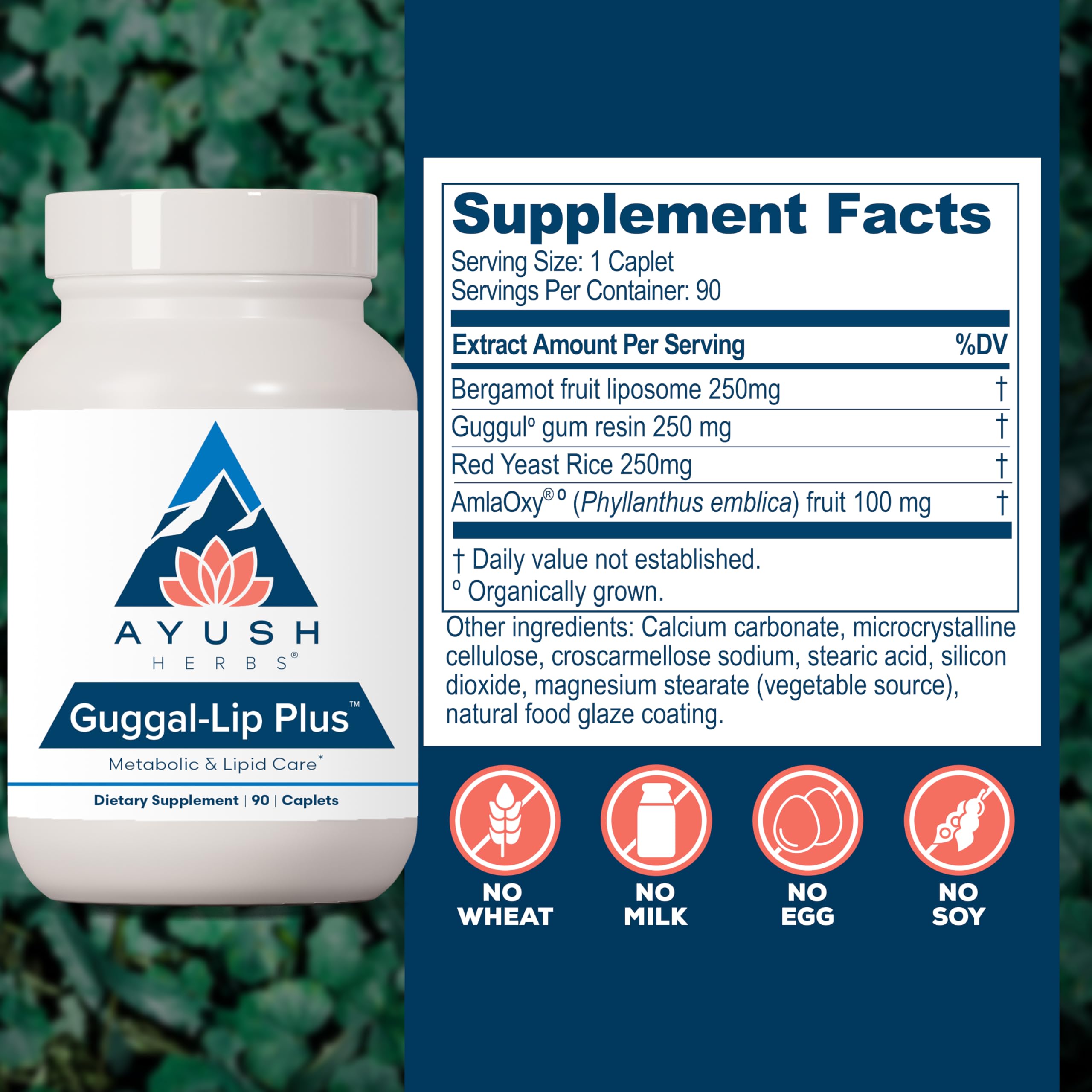 Ayush Herbs Guggal-Lip Plus label details featuring bergamot liposome and red yeast rice for heart health.