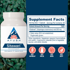 Close-up of Sitawari capsules emphasizes digestive comfort and gentle relief.