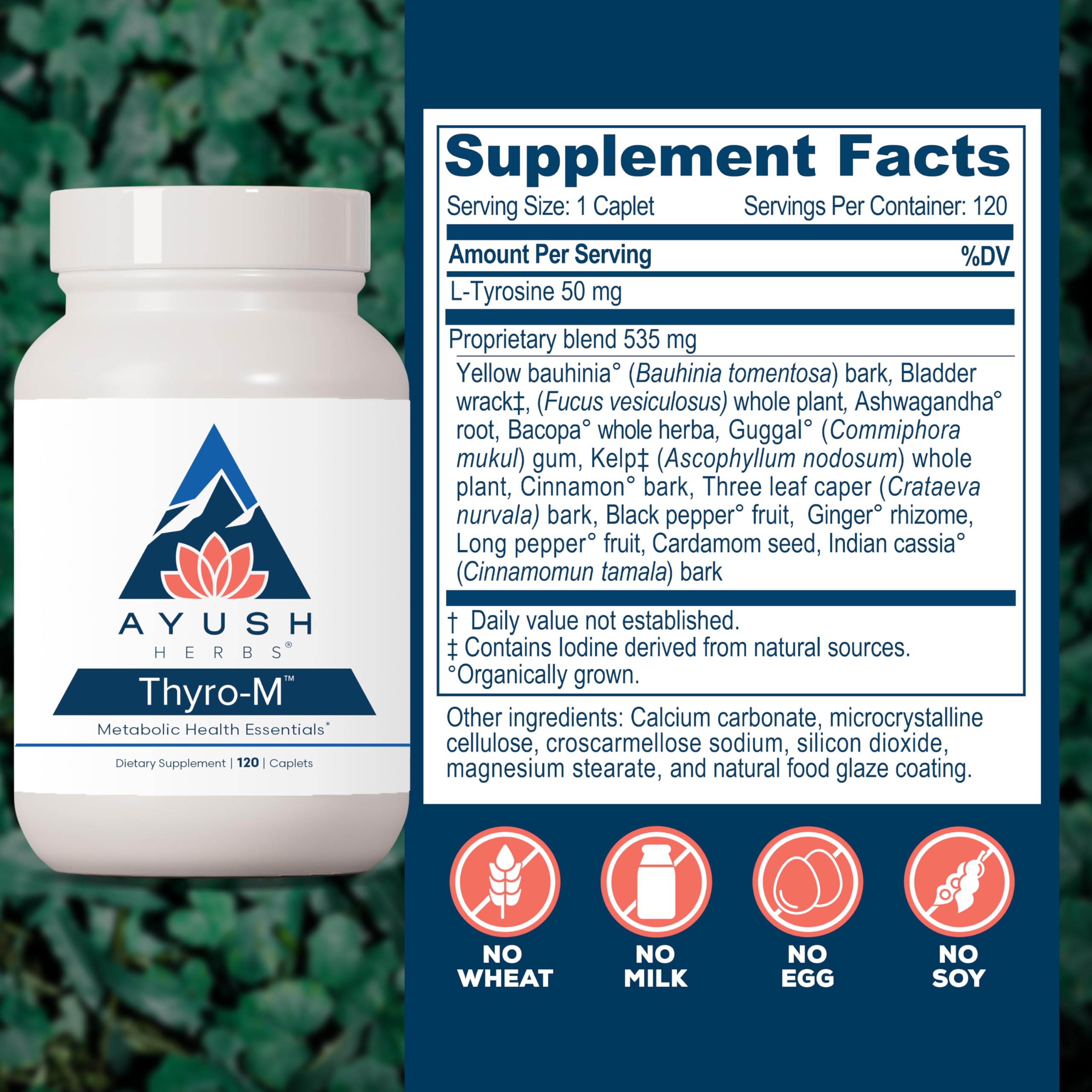 Ayush Herbs Thyro-M capsules closeup emphasizing tyrosine and kelp ingredients for thyroid support.
