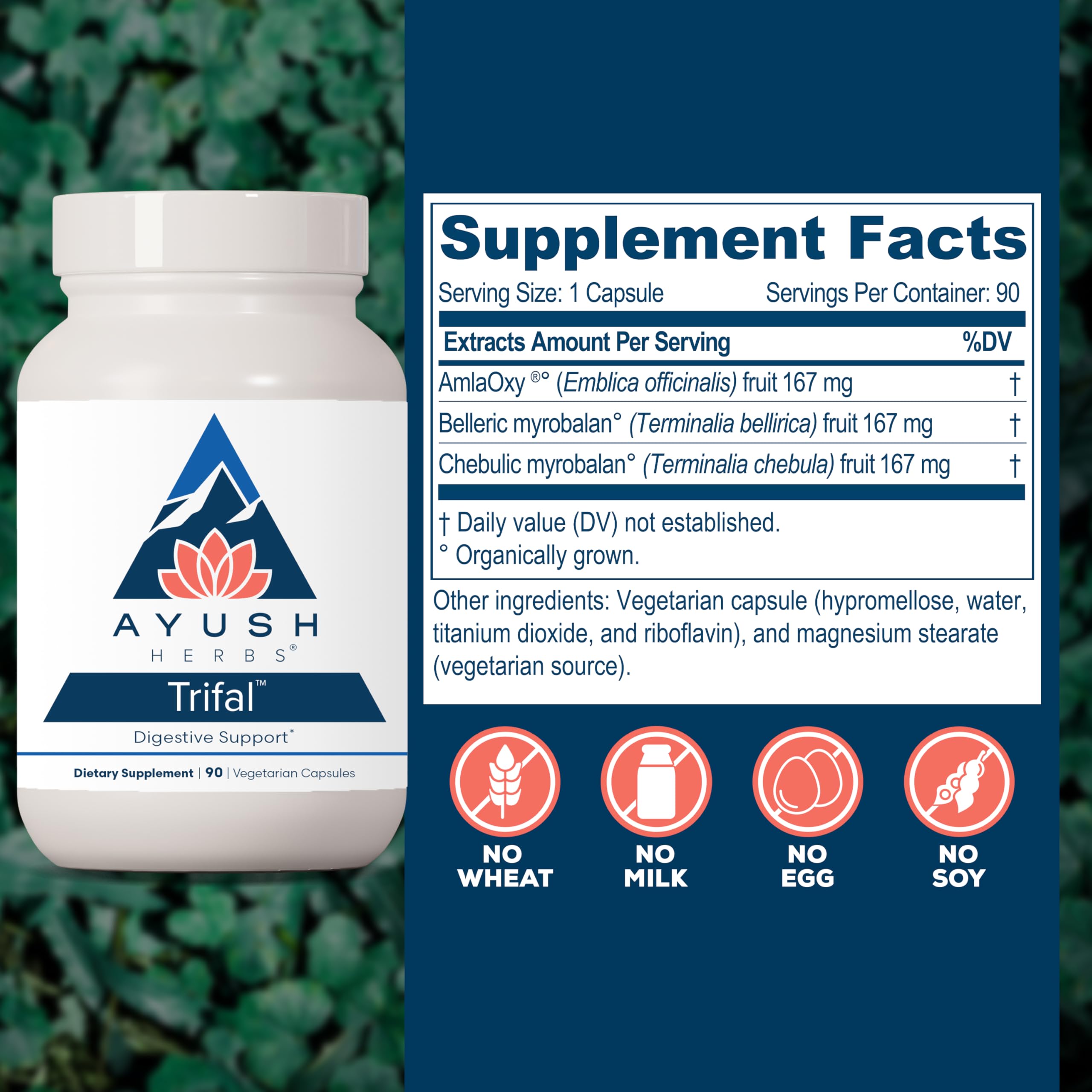 Ayush Herbs Trifal Amla ingredients label highlights organic amla content