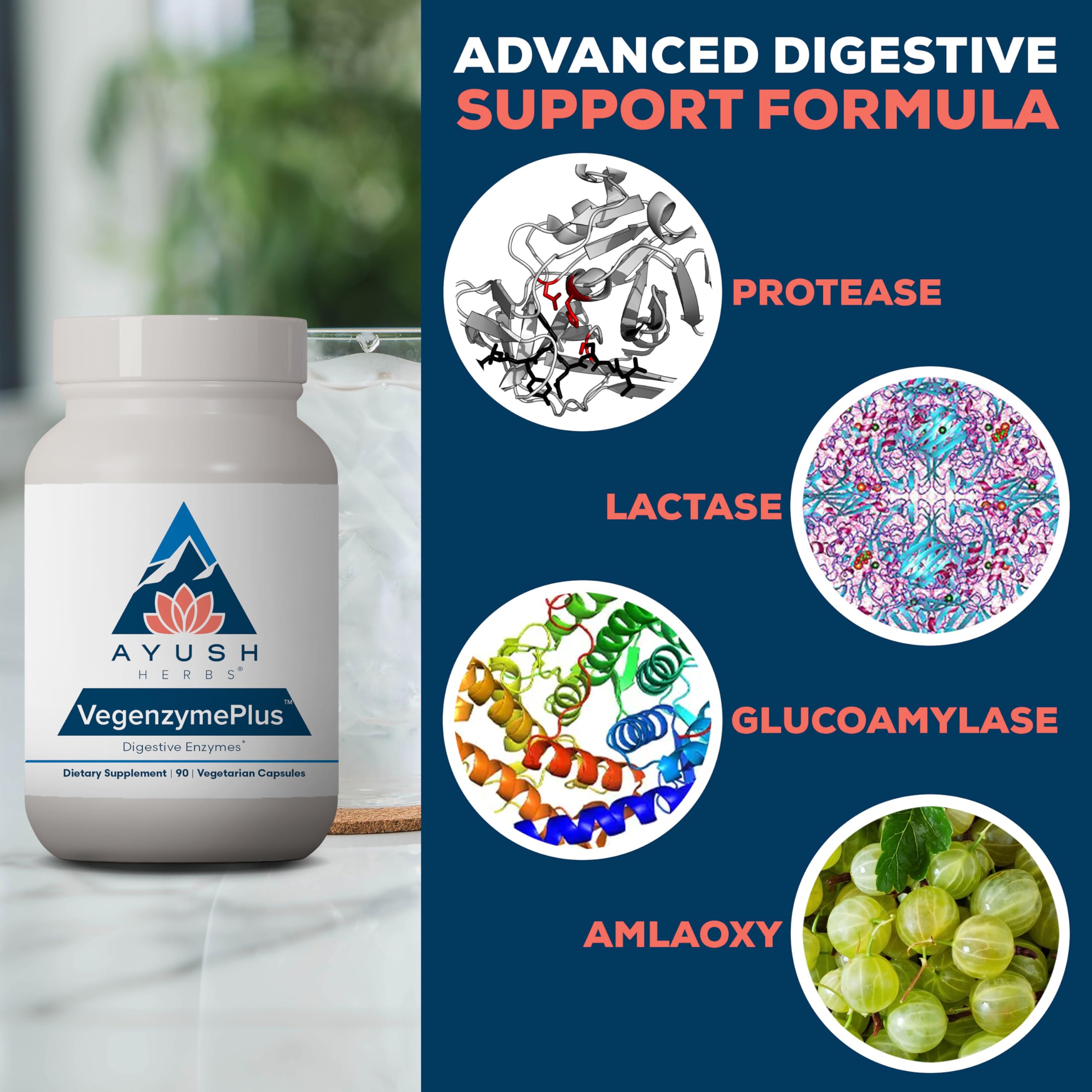 Ayush Herbs VegenzymePlus ingredients panel lists Bromelain and Lactase for digestion.