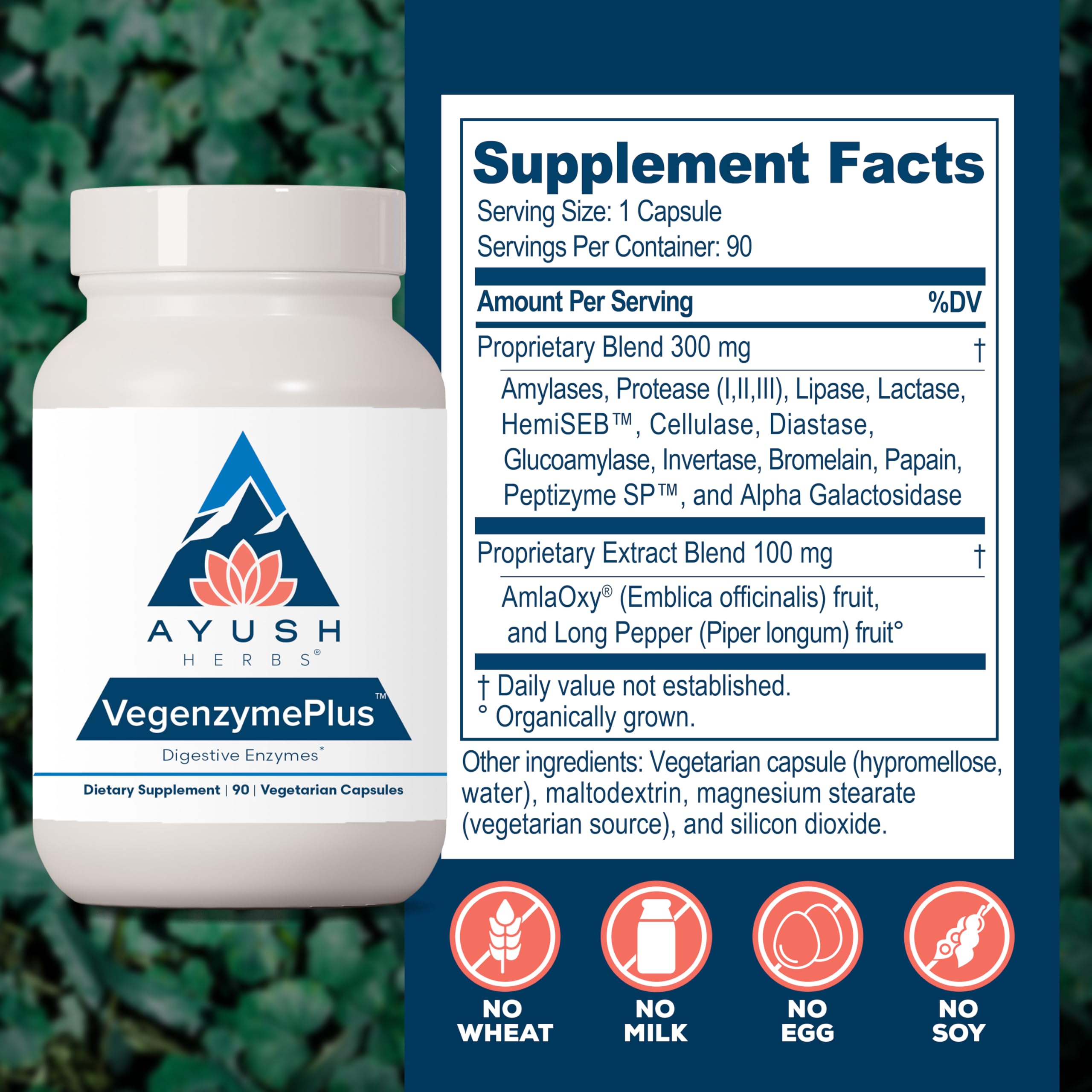 Ayush Herbs VegenzymePlus label detail highlights vegetarian enzyme blend benefit.