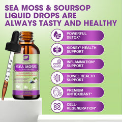 Ingredient collage of sea moss, black seed oil, and soursop used in B BEWORTHS drops.