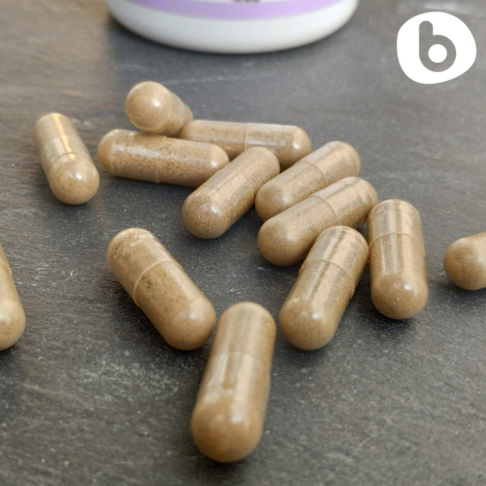 b lavender flowers dried: whole lavender buds used for natural calm.