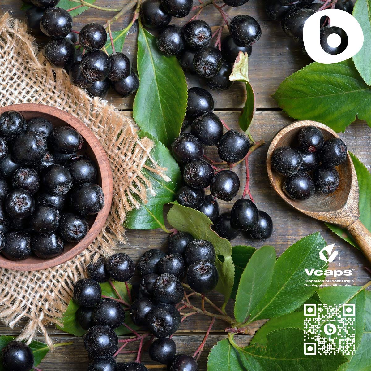 b Organic Aronia Berry Capsules vegan symbol on packaging emphasizing plant-based supplement