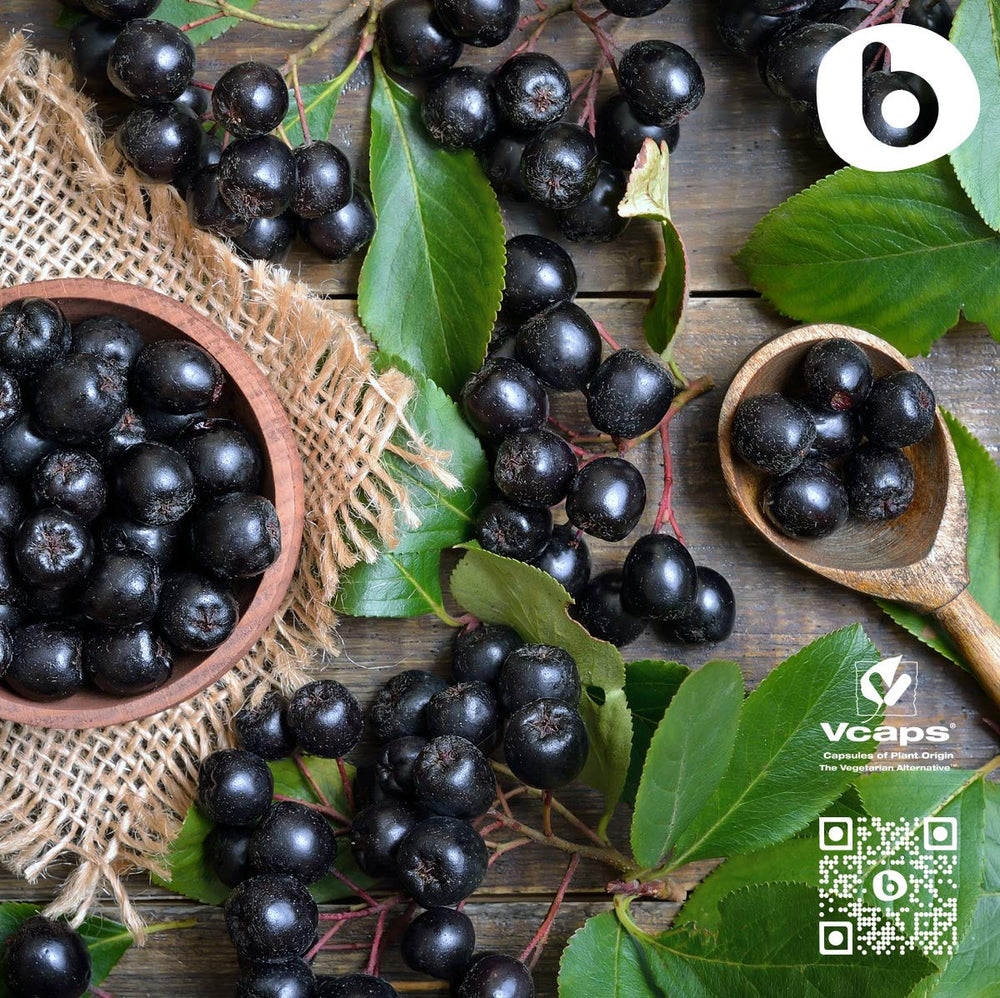 b Organic Aronia Berry Capsules vegan symbol on packaging emphasizing plant-based supplement