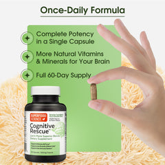 B vitamins complex blend in plant-based tablets for neural function