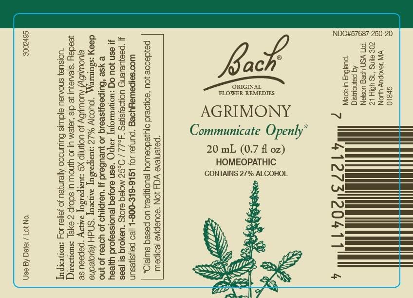 Bach Flower Remedies Centaury bottle, helps you acknowledge your own needs and set boundaries.