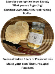 Lion's Mane rehydration powder from Baja North Mercantile blends easily into recipes