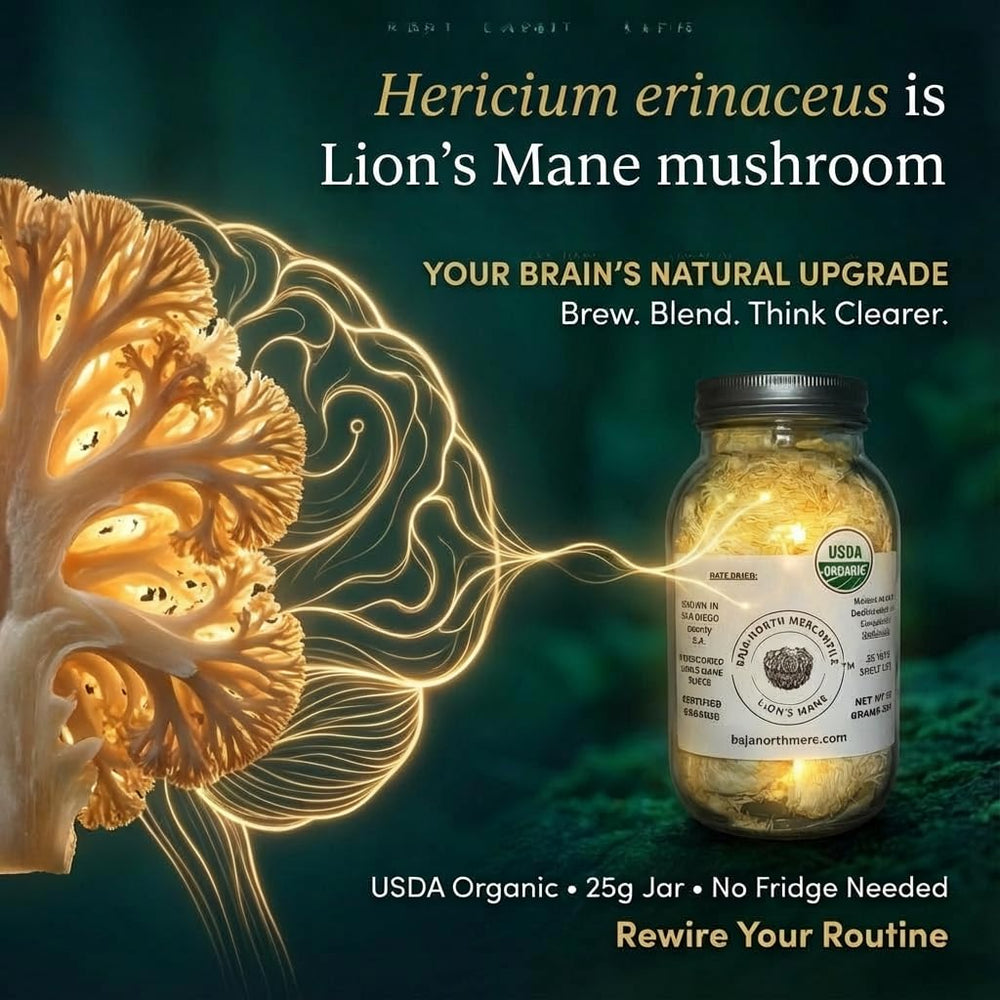 Small-batch lion's mane slices by Baja North Mercantile showing care