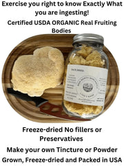 Lions mane slices steeped in hot water with earthy aroma from Baja North Mercantile
